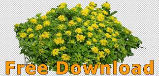 Choose from our handpicked collection of free, hd flower pictures and images. Flower Cut Out Graphics Free Download