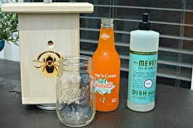how to trap and kill carpenter bees and