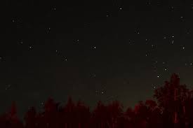 dark night sky with many stars above