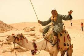 Image result for camel jockey