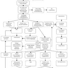 Flow Chart Management Of Candidates For Maxillary Sinus