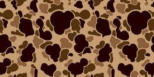 Camouflage Seamless Pattern Vector