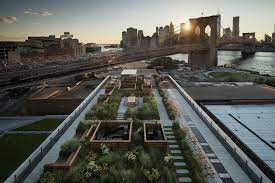 Tops Brooklyn Apartments With Roof Garden