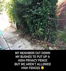 My Neighbour Cut Down My Bushes To Put