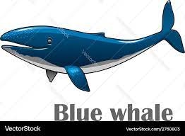 cartoon blue whale royalty free vector