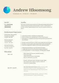 18 Professional Cv Templates And Examples Writing Tips