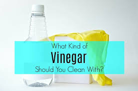 what kind of vinegar to clean with