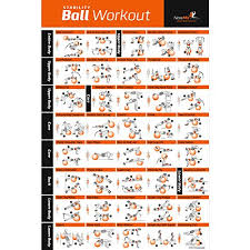 Exercise Ball Poster Laminated Total Body Workout Personal Trainer Fitness Program Swiss Yoga Balance Stability Ball Home Gym Poster Tone