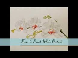 How To Paint White Orchids Watercolor
