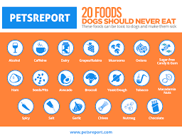 Human Foods That Dogs Cant Eat Pets Report
