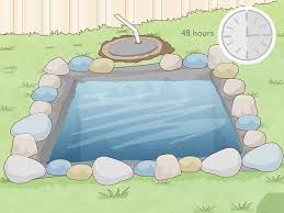 How To Make A Mini Pond With Pictures