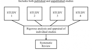 Systematic quantitative literature review Example of a data collection instrument  validated by Ursi        