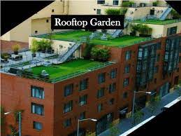 pdf rooftop garden