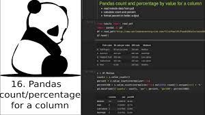 pandas count and percene by value