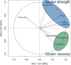 Genes are sections or segments of dna that are carried on the chromosomes and determine specific human characteristics, such as height or hair color. Combining Grain Yield Protein Content And Protein Quality By Multi Trait Genomic Selection In Bread Wheat Springerlink