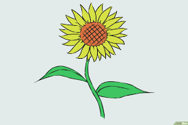 Maybe you would like to learn more about one of these? Come Disegnare Un Fiore Con Immagini Wikihow