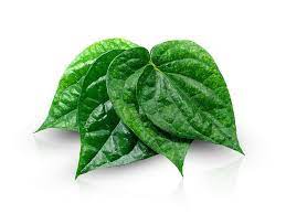 paan betel leaves approx 10 leaves