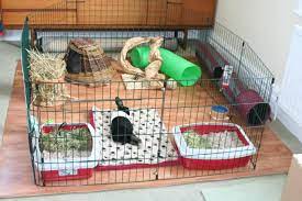 Housing Pet Rabbit Indoors