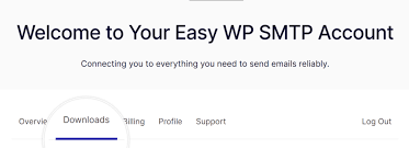 installing the pro plugin easy wp smtp