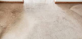 carpet cleaning loveland greeley co