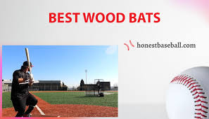 7 best wood bats in 2022 bats that a