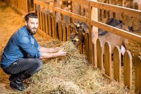 diy hay feeder for goats 13 free