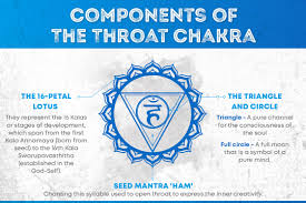 explore throat chakra vishuddha