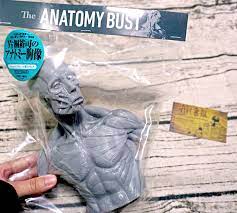 ART書櫃Book Review: 片桐裕司雕塑解剖學[完全版] 片桐裕司アナトミー・スカルプティング完全版(Katagiri Hiroshi) +  片桐裕司21公分半胸像Soft Vinyl “Anatomy Bust”