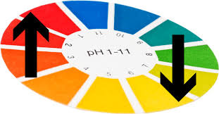 The Best Ph Level For Your Hydroponic Vegetable Garden
