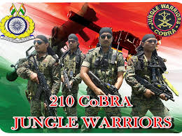 cobra commandos army crpf hindustan