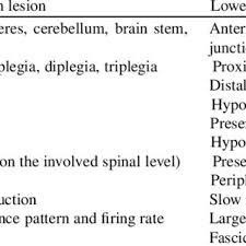 lower motor motor neuron lesions