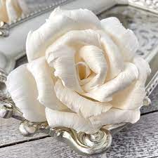 These sola flowers are basically the soft white the best part of sola tissue is that it can be carved into intricate designs due to its softness and malleability. Luv Sola Flowers Home Facebook