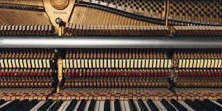The amount of dust that accumulates is astonishing and it can piano tuners spring from many sources. Professional Piano Restoration And Repairs Piano Moves