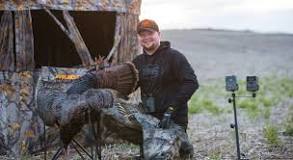 do-people-hunt-turkeys-from-tree-stands