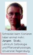 <b>Jürgen Stolz</b>, Lehrstuhl Zellbiologie und Pflanzenphysiologie, Uni Regensburg - trick11