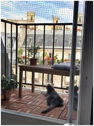 Balcony Catios The Purrfect Solution