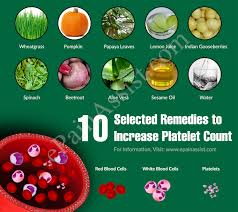 10 Selected Remedies To Increase Platelet Count