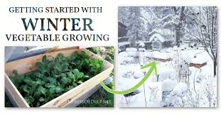 Grow Vegetables Outdoors In The Winter