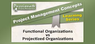 Functional Organizations Vs Projectized Organizations Pmp Exam