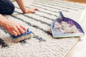 understanding carpet flooring allergies