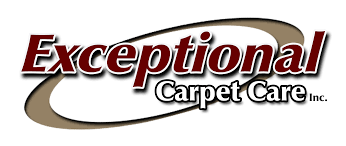 exceptional carpet care carpet