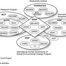 Organizational Structure Of Ihp Download Scientific Diagram