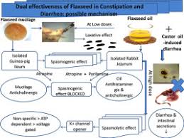 Dual Effectiveness Of Flaxseed In Constipation And Diarrhea