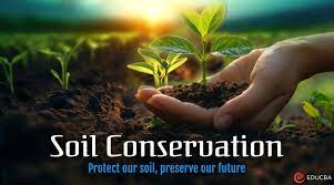 essay on soil conservation 3500 words