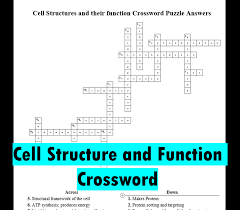 cell structure and function crossword