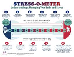 Stress O Meter Chart