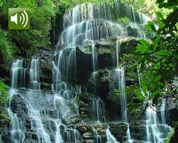 49 free waterfall wallpaper with