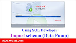 whole database via oracle sql developer