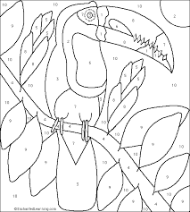 Then, color it with your crayons or your paints! Toucan Color By Number Enchantedlearning Com