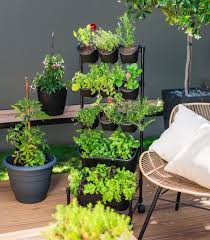 Greenwall Vertical Gardening Holman
